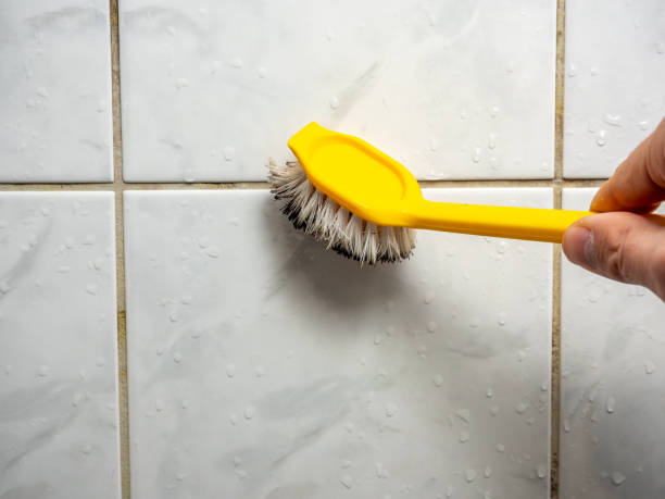 Best Mold Remediation for Schools in Yarrow Point, WA