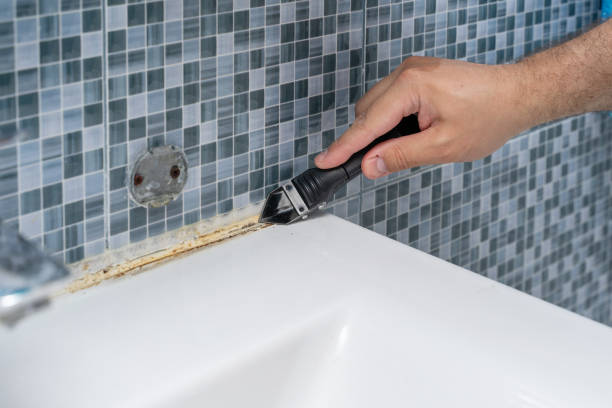 Best Black Mold Remediation in Yarrow Point, WA